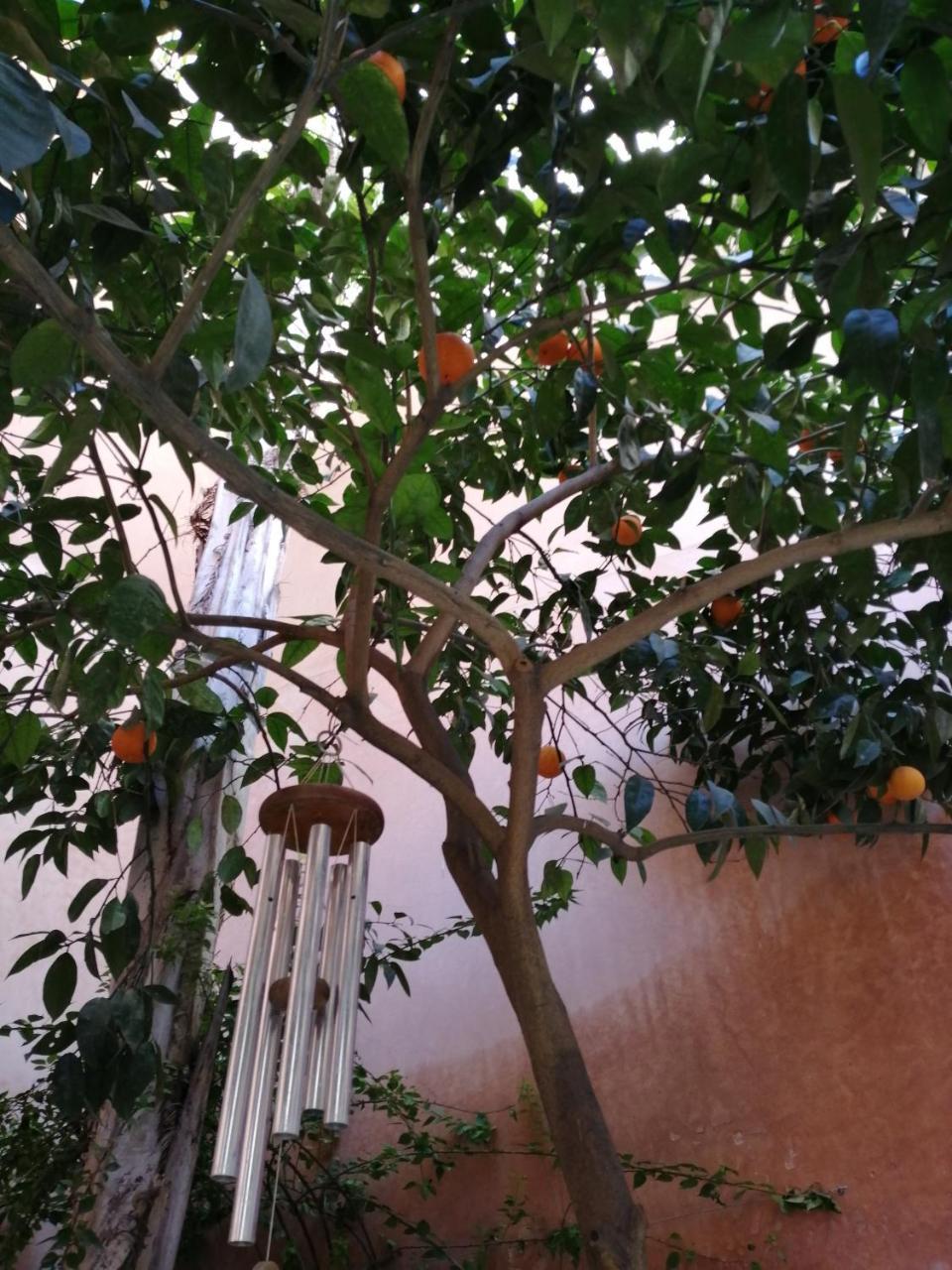 Les Bains De Fez Tara Exterior foto